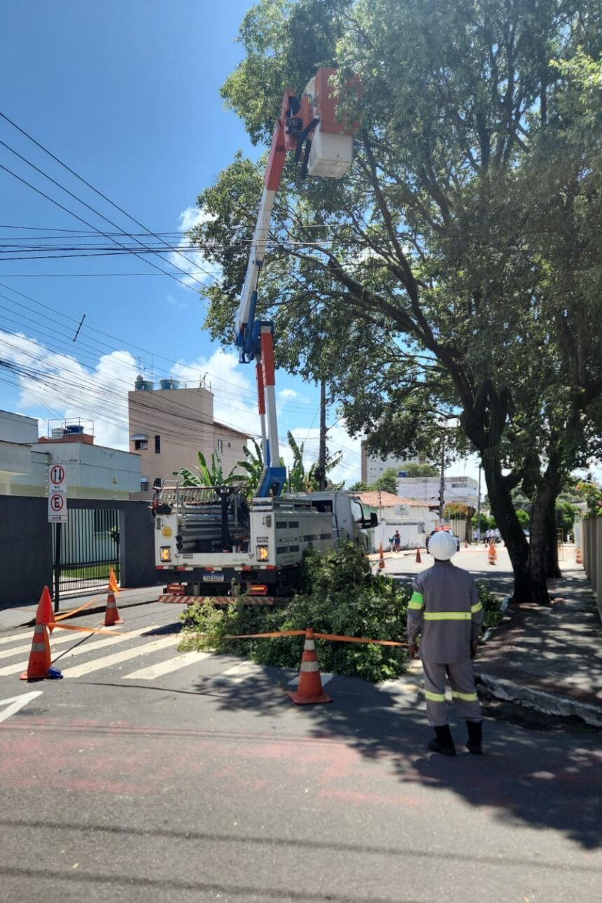 Equipe técnica da EDP realizando poda de árvore próxima à rede elétrica em Aracruz.