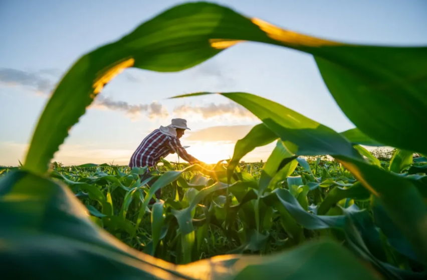 Produtor rural da agricultura familiar beneficiado pelo Crédito Rural no ES