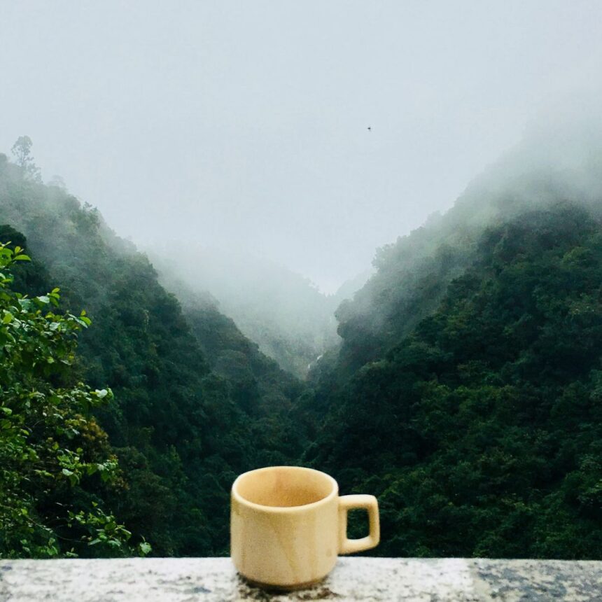 Prevenção é o melhor caminho para manter a saúde respiratória no inverno.