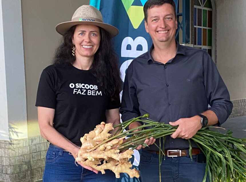 Homem e mulher sorrindo segurando raiz de gengibre no campo, simbolizando o sucesso do Gengibre Capixaba.