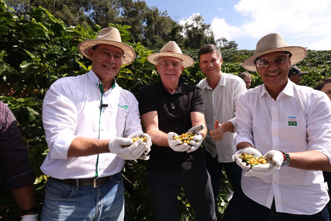 Governador Ricardo Ferraço participa da colheita do café arábica no Espírito Santo ao lado de produtores rurais.
