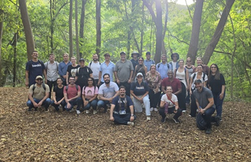 Grupo de profissionais do banco Bandes realizando visita guiada na área de reflorestamento do Instituto Terra.
