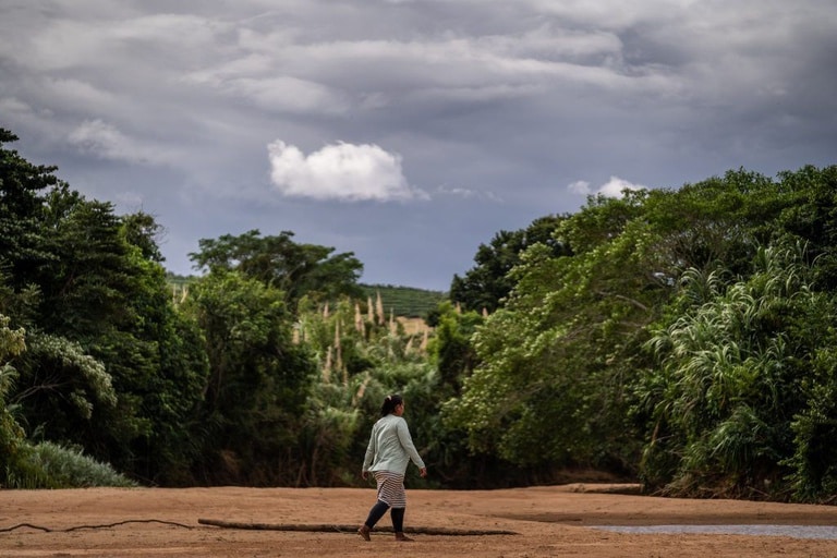 Agricultor familiar trabalhando em área de floresta produtiva perto de uma barraginha de captação de água na Bacia do Rio Doce.