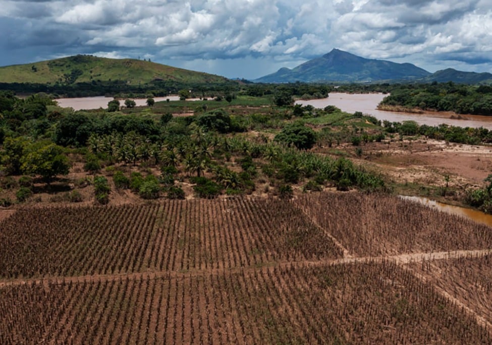 Área de floresta produtiva na Bacia do Rio Doce.