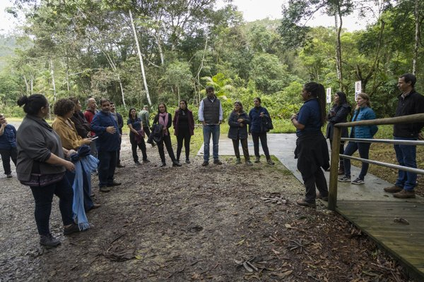 Paisagem de floresta nativa preservada pertencente às áreas de conservação ambiental da Suzano.
