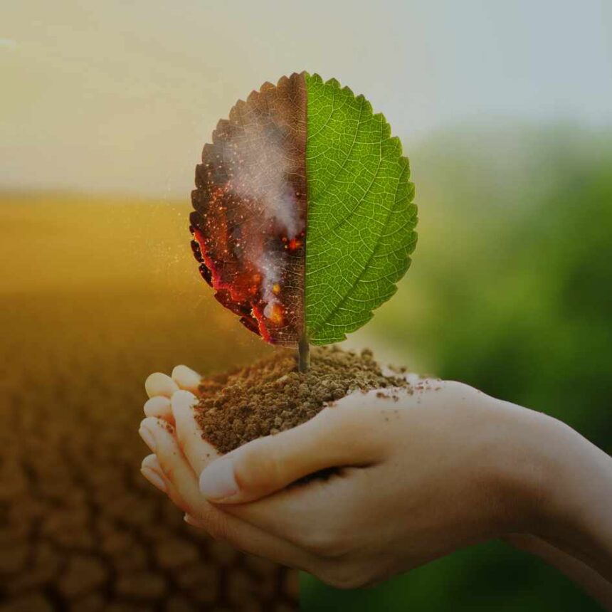 integridade-da-informacao-sobre-mudanca-do-clima-cop31.jpg
