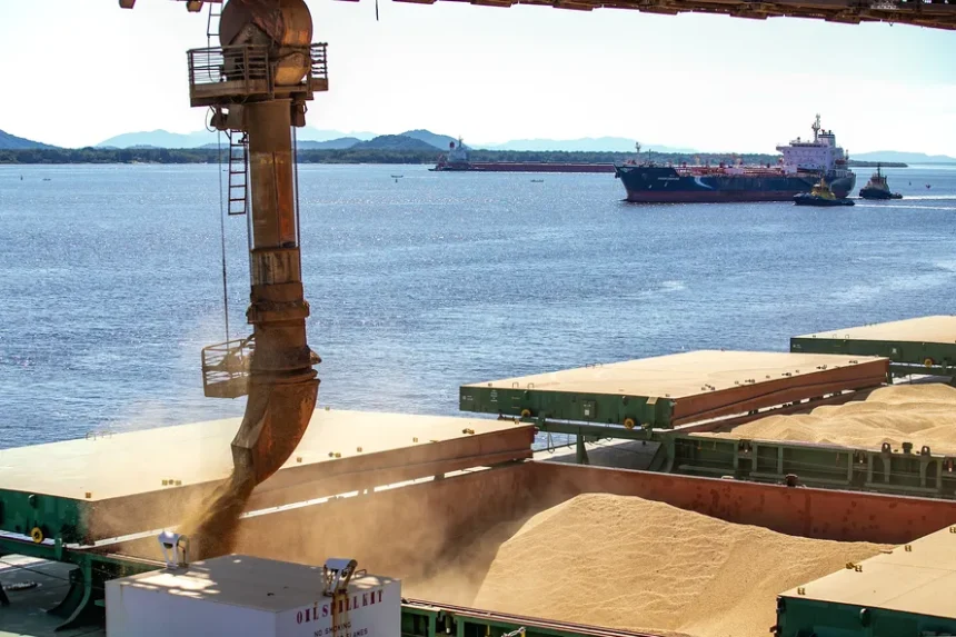 Novas tarifas dos Estados Unidos preocupam setores de frango, ovos e pescados no agronegócio do Espírito Santo.