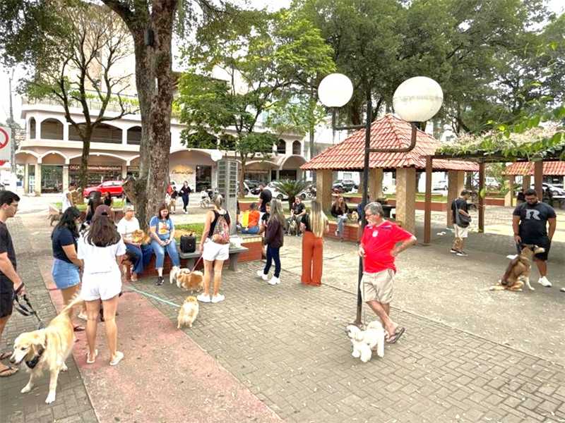 Famílias participando com seus cães da caminhada pet em Alfredo Chaves.