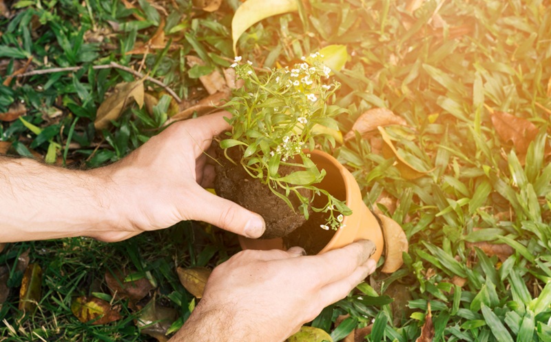 projeto prático de educação climática e sustentabilidade na escola.