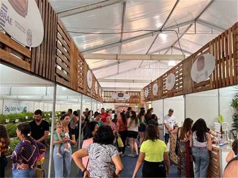 Expositores vendendo queijos, doces e artesanato na Feira do Empreendedorismo da Festa da Banana e do Leite.