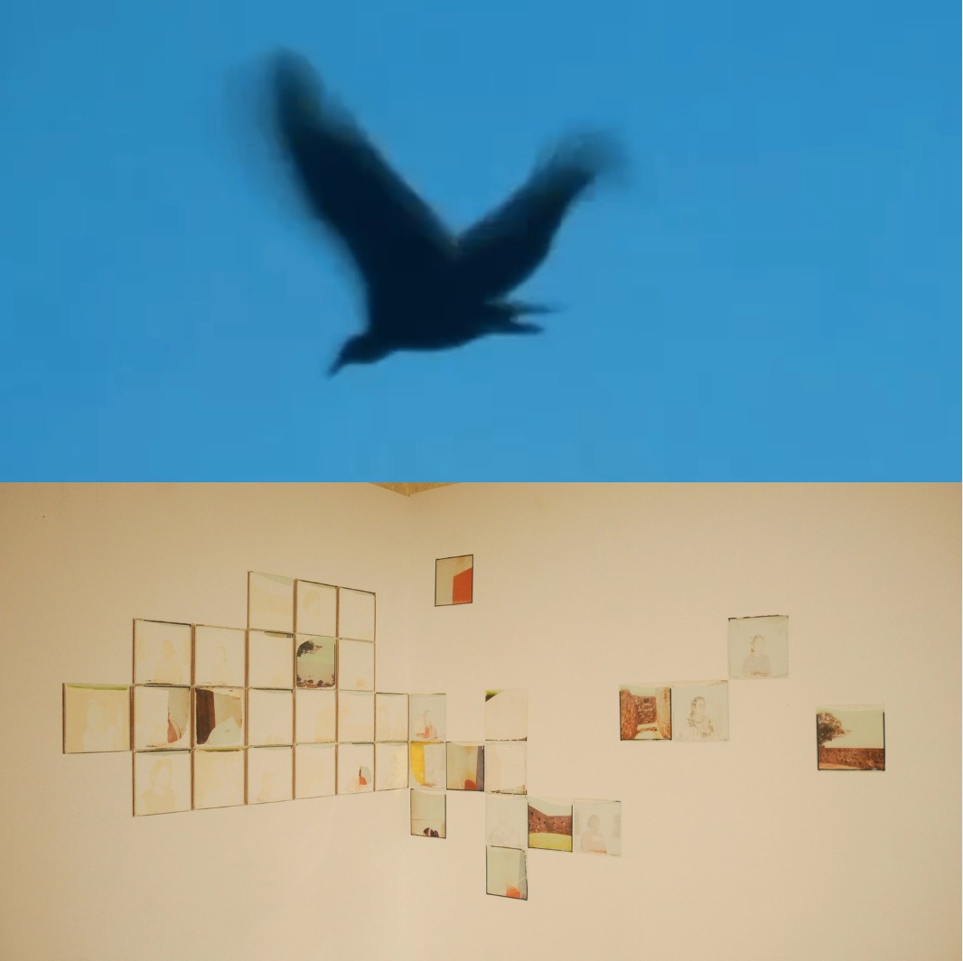 Instalação artística e esculturas no Parque Cultural Casa do Governador em Vila Velha.