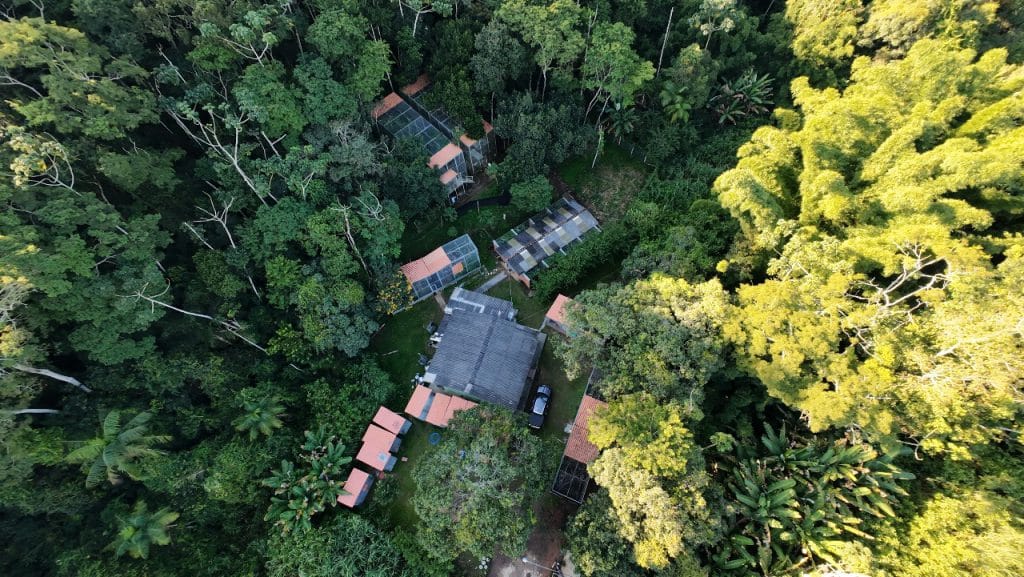Vista aérea do parque de conservação da fauna gerido em parceria entre Samarco e UFV.