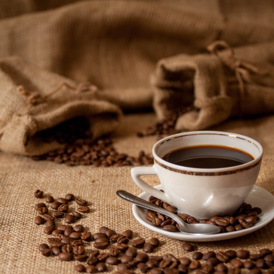 Avaliação e degustação do café conilon capixaba durante evento em Linhares.