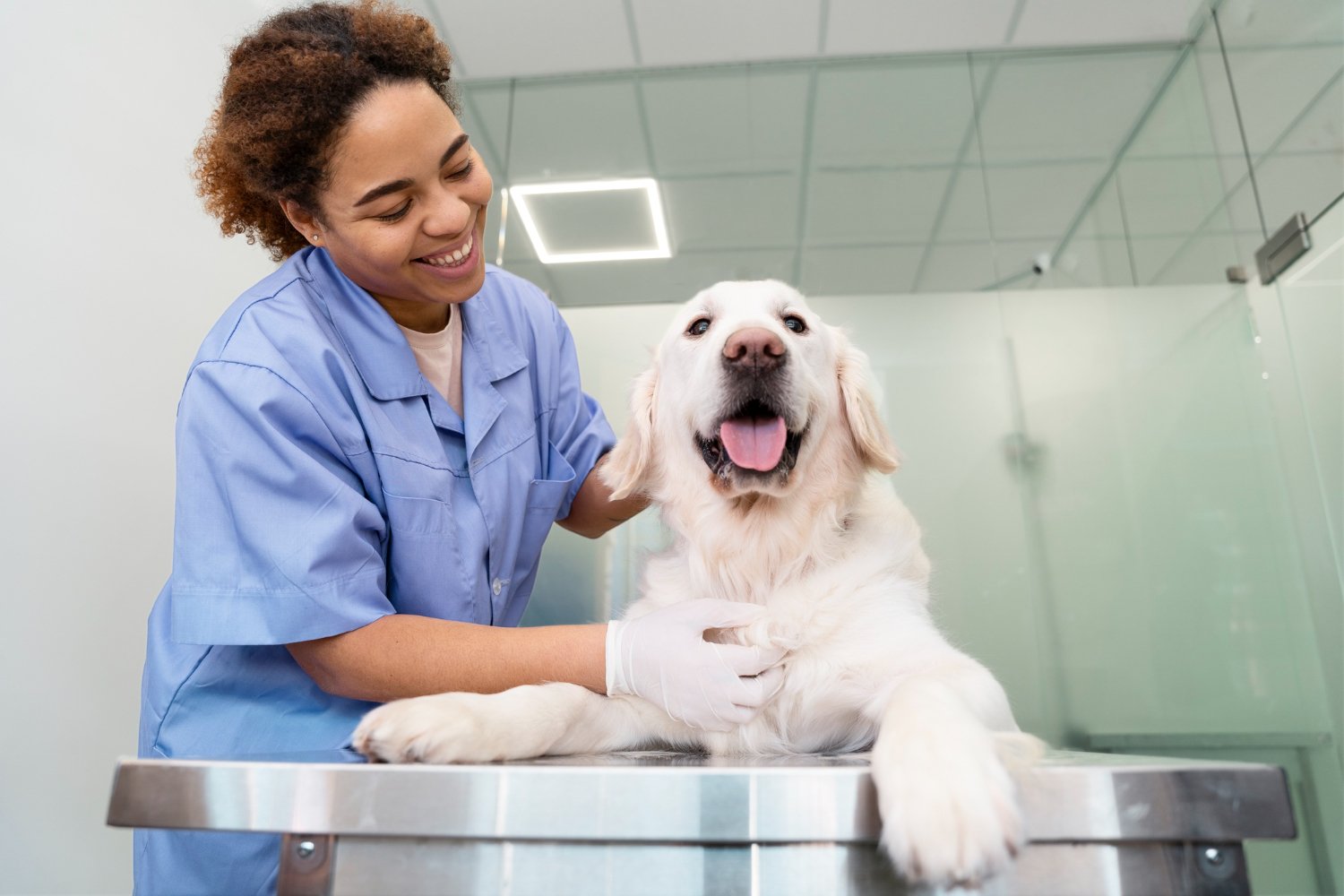 Estudantes e profissionais participando de palestra sobre Medicina Veterinária na Anhanguera Linhares.