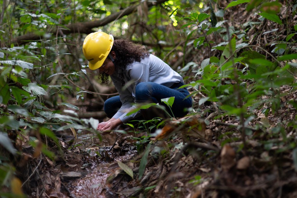 Coletores organizando sementes nativas para ações de reflorestamento da Mata Atlântica.