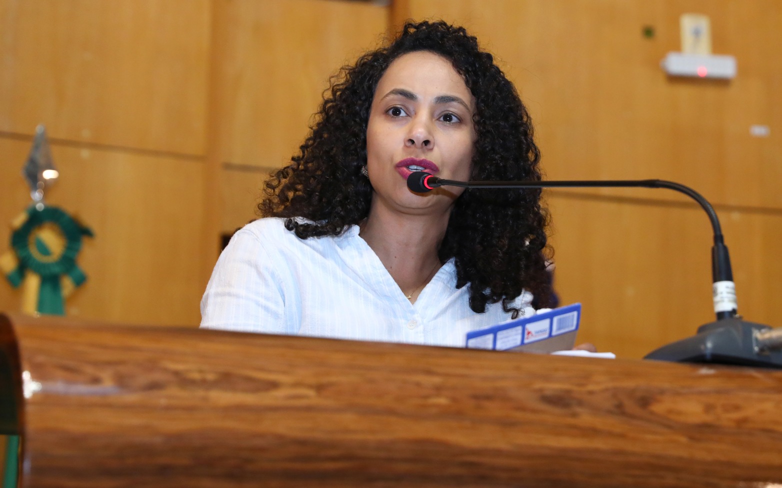 Camila Valadão, deputada estadual, durante discurso na Assembleia Legislativa.