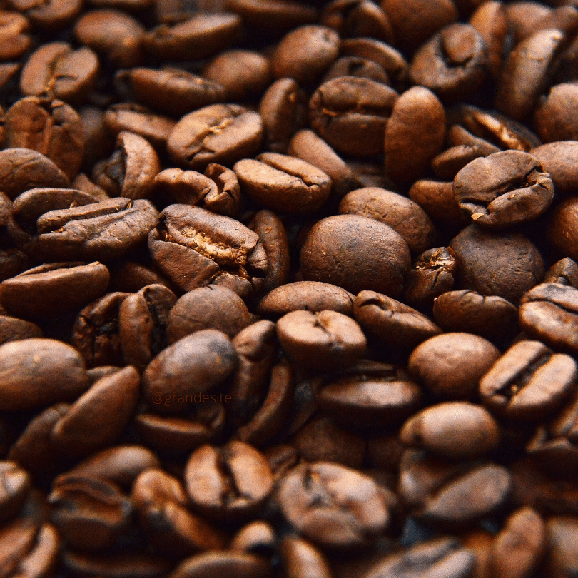 Grãos maduros de café especial selecionados para o Prêmio Cafés Especiais do Espírito Santo 2026.