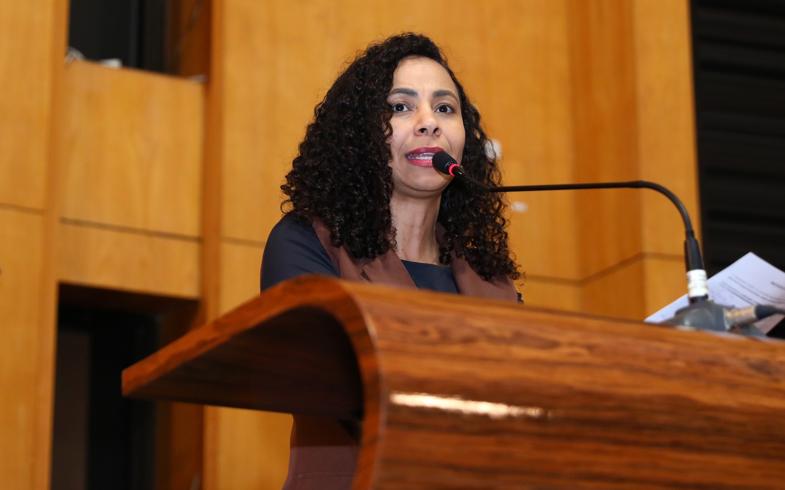 Camila Valadão Deputada estadual 